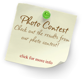 Photo Contest! Click here for more information!
